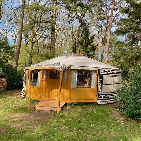 Ons Yurt Huisje In Het Bos Hollandsche Rading Eksteriør bilde